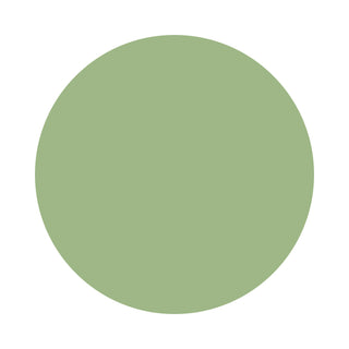 Sage green color swatch
